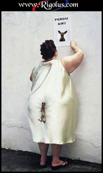 kiki et perdu